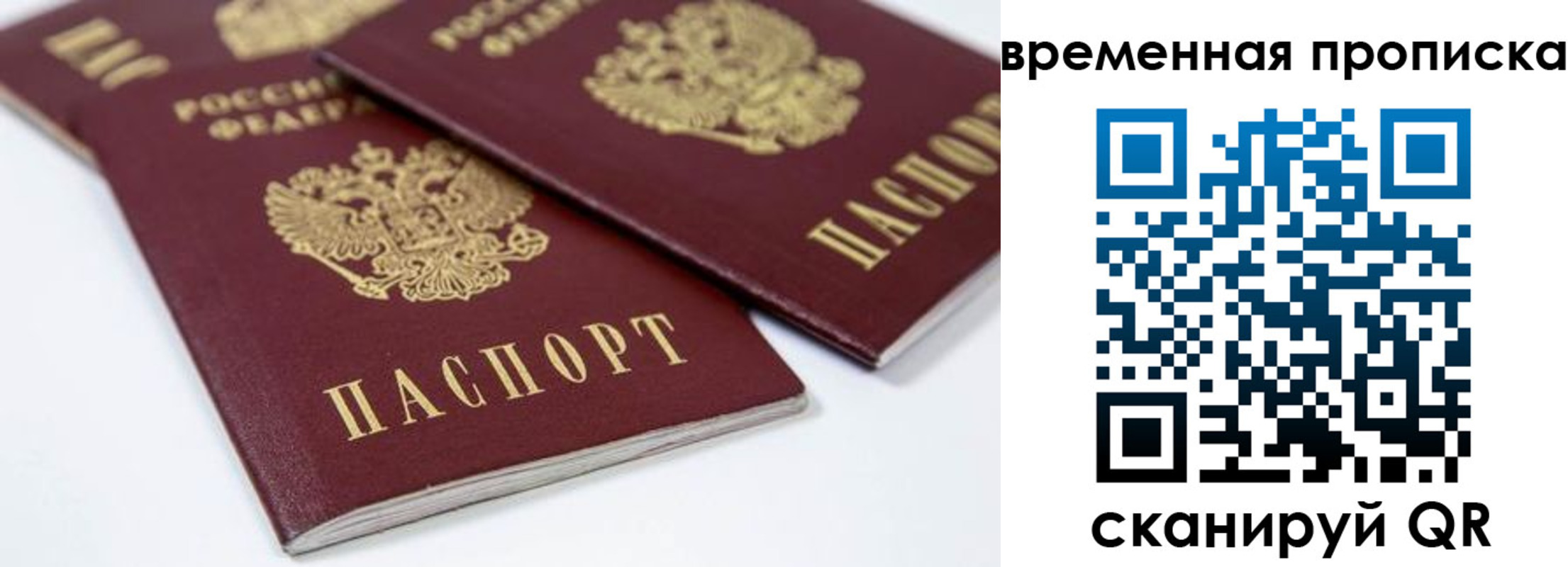 прописка для школы в Лесном